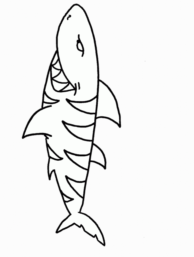 דף צביעה כריש 12