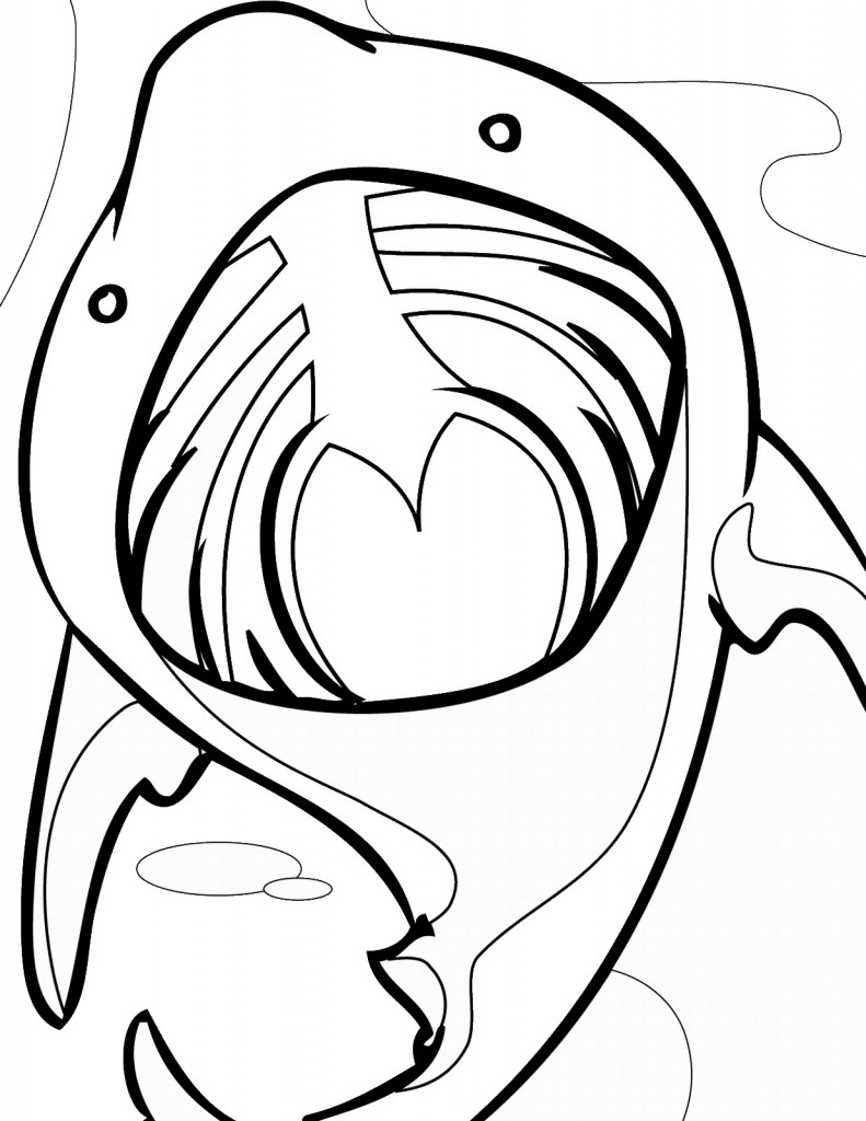 דף צביעה כריש 9