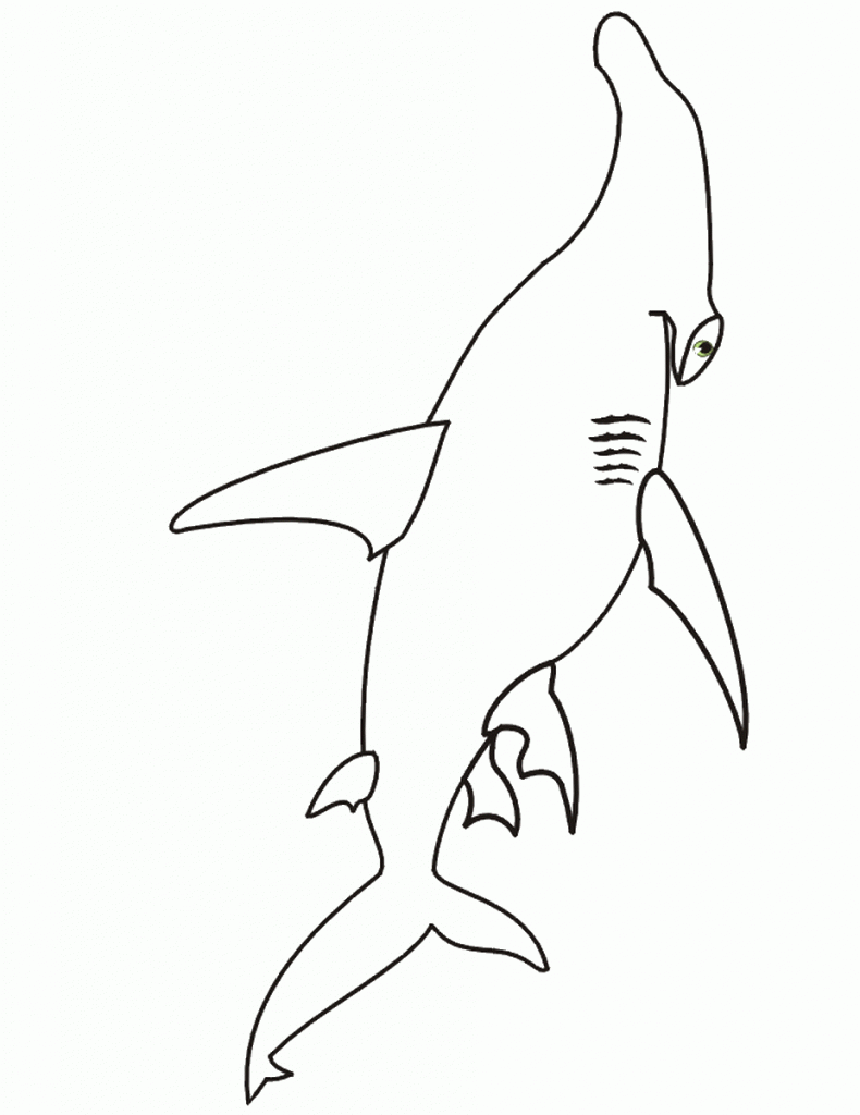 דף צביעה כריש 8