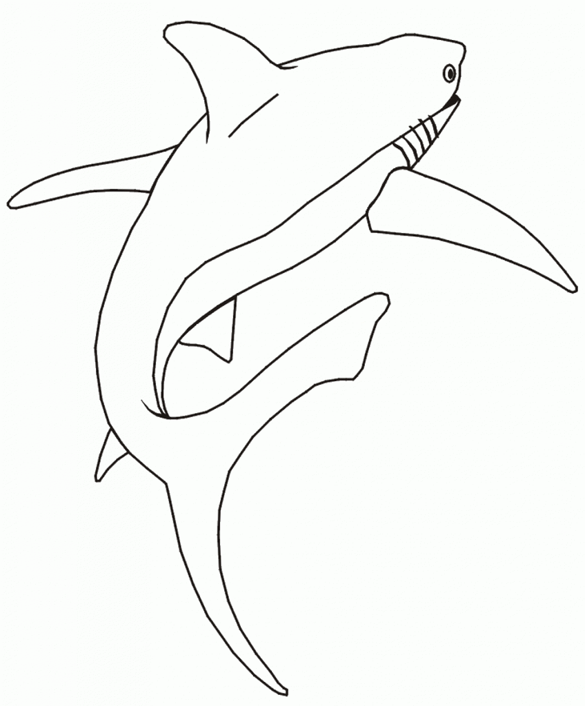 דף צביעה כריש 6