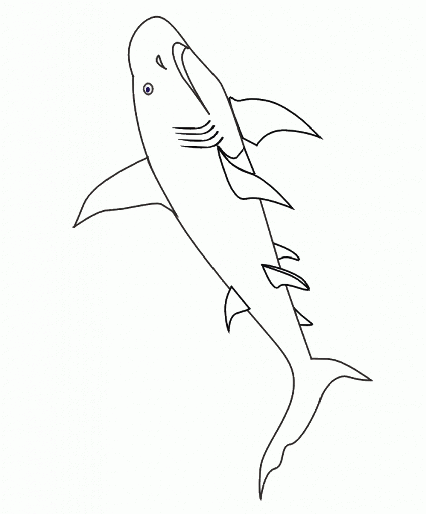 דף צביעה כריש 2