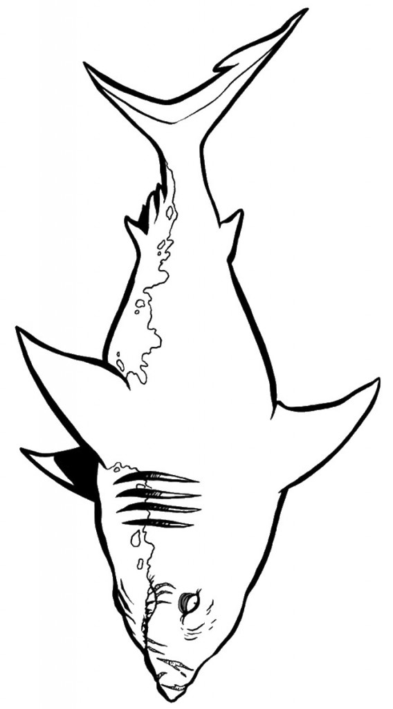 דף צביעה כריש 1