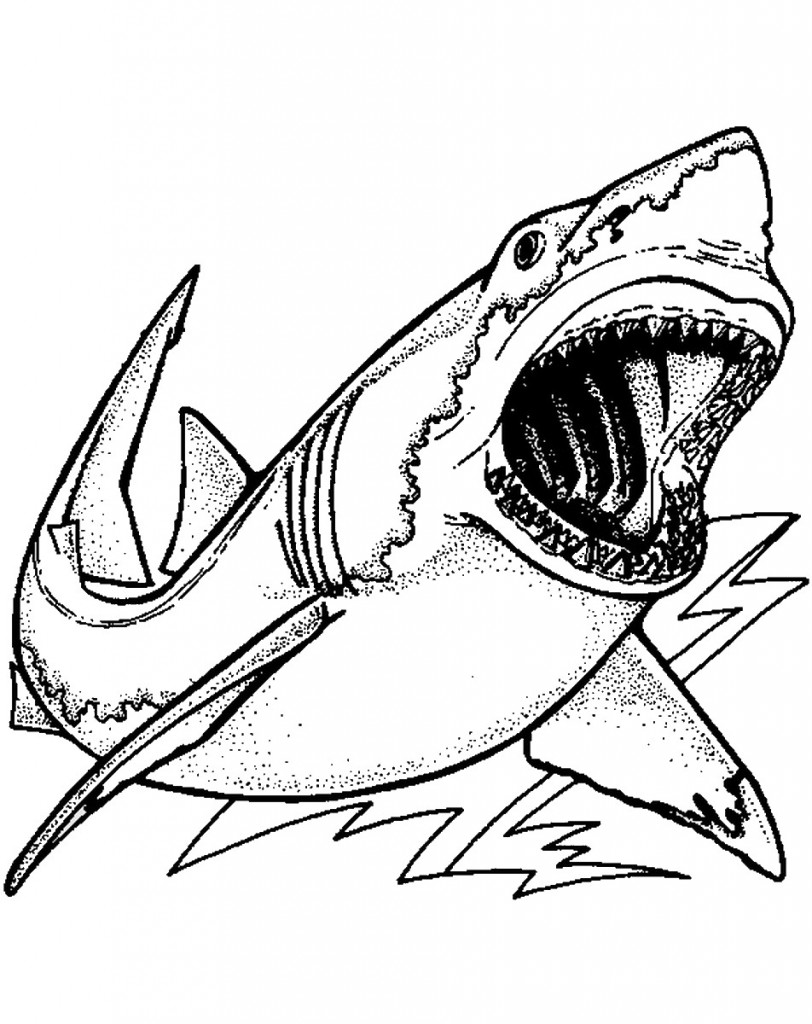 דף צביעה כריש 18
