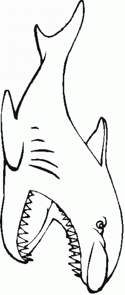 דף צביעה כריש 17