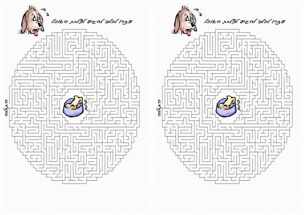 dog_maze12