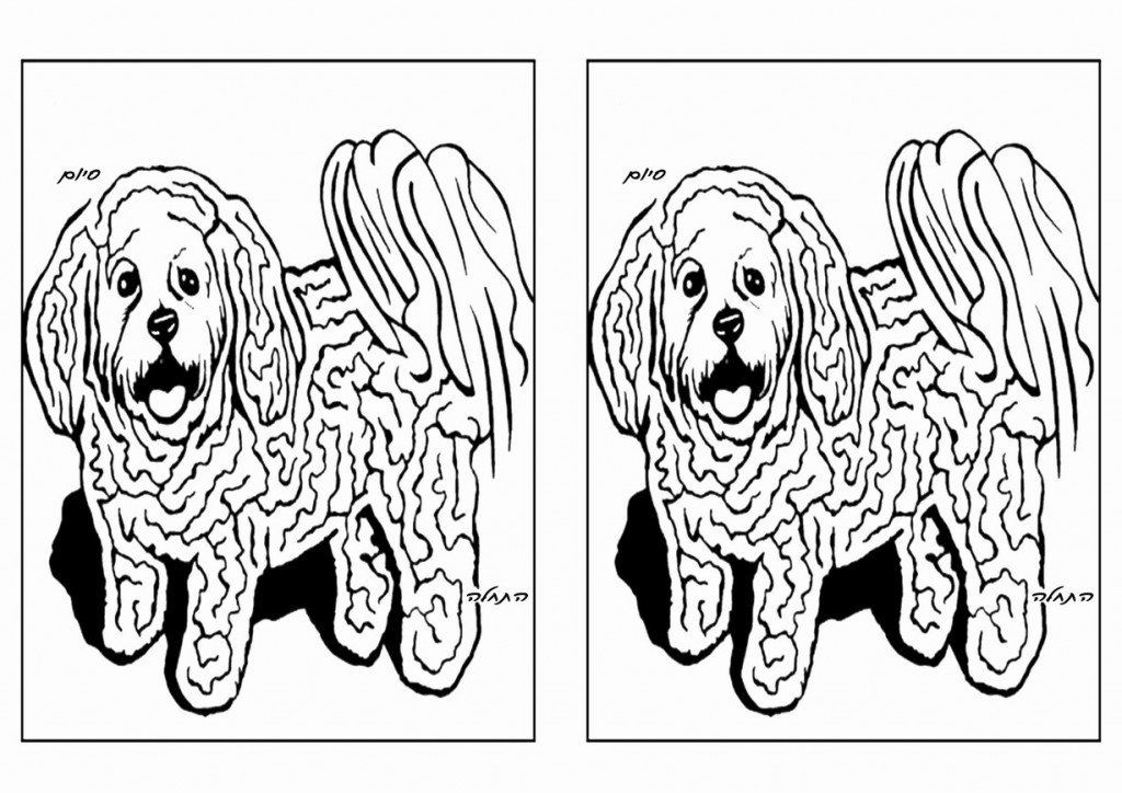 dog_maze16