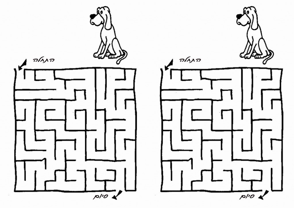 dog_maze2