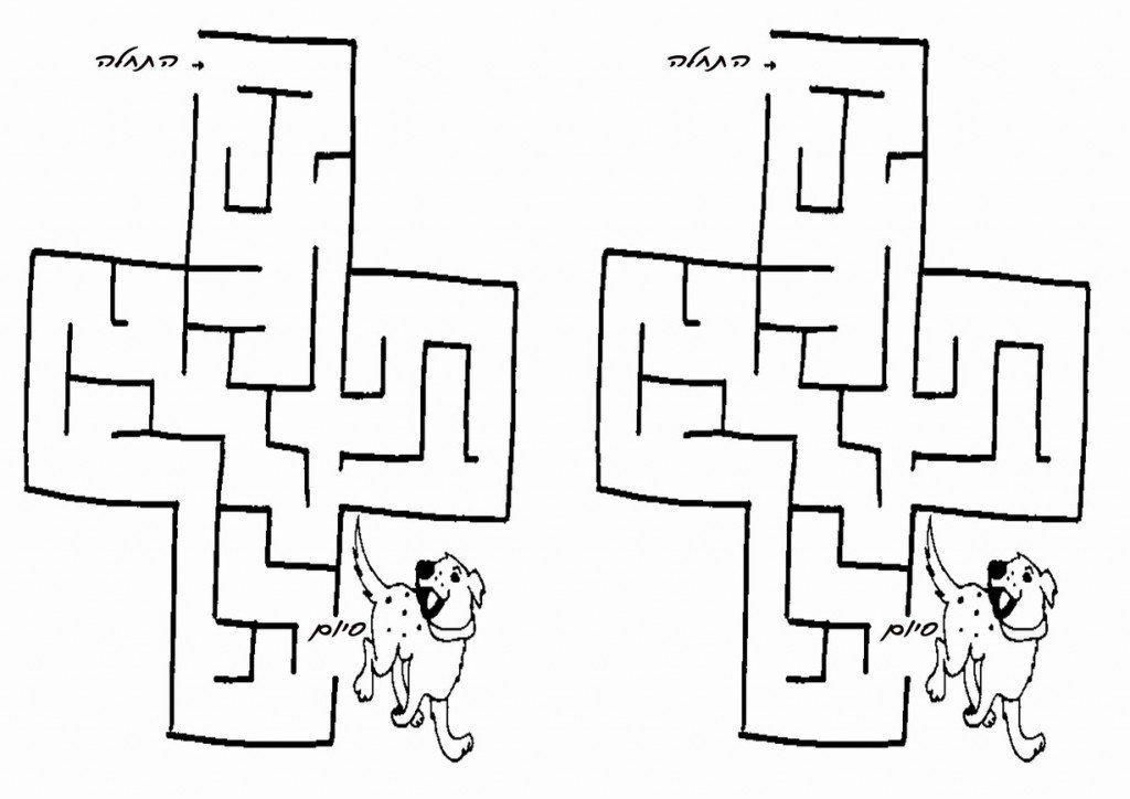 dog_maze5