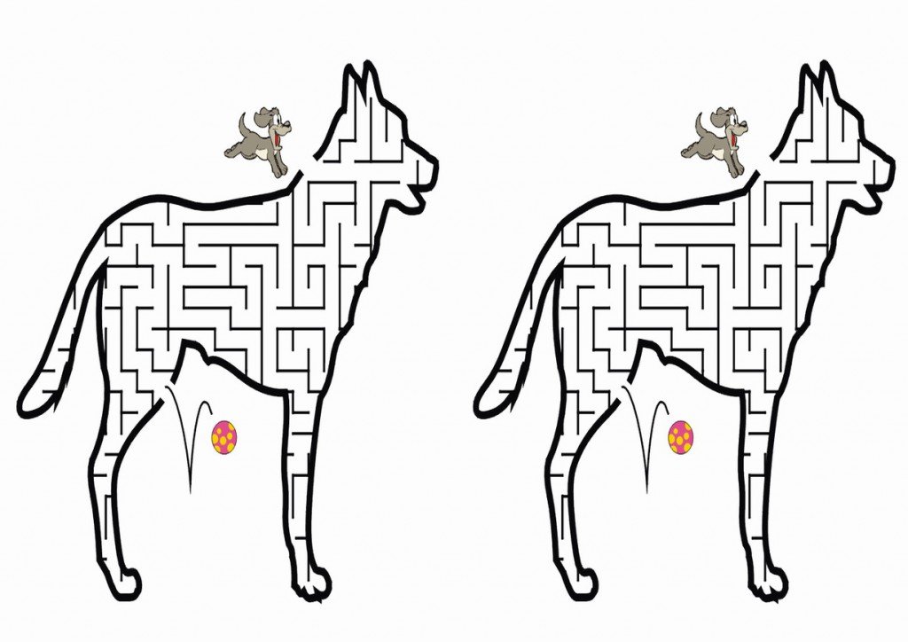 dog_maze6