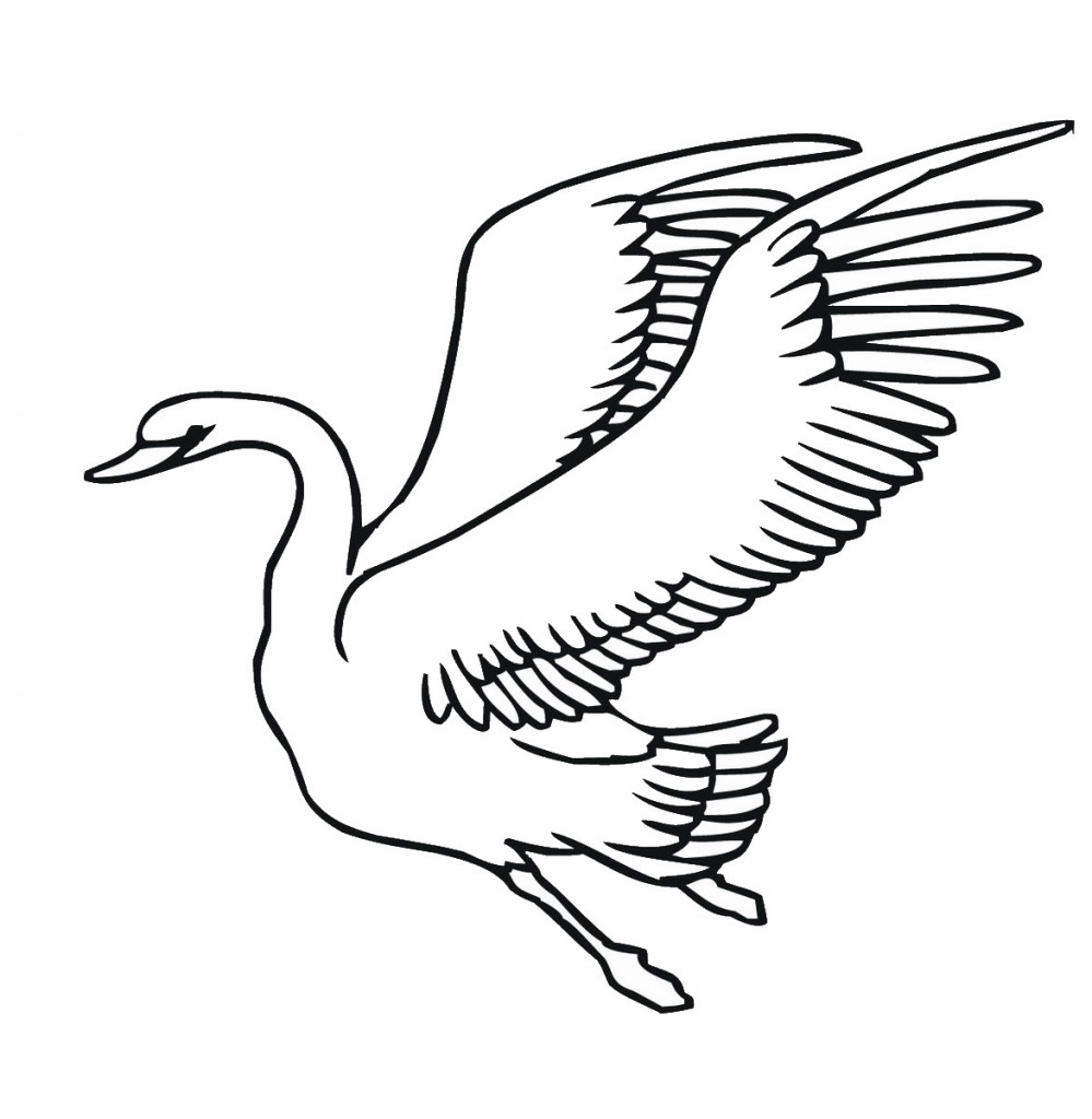 swan-coloring-5