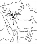 deer_cb_1