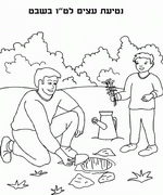 tu_bishvat_coloring02