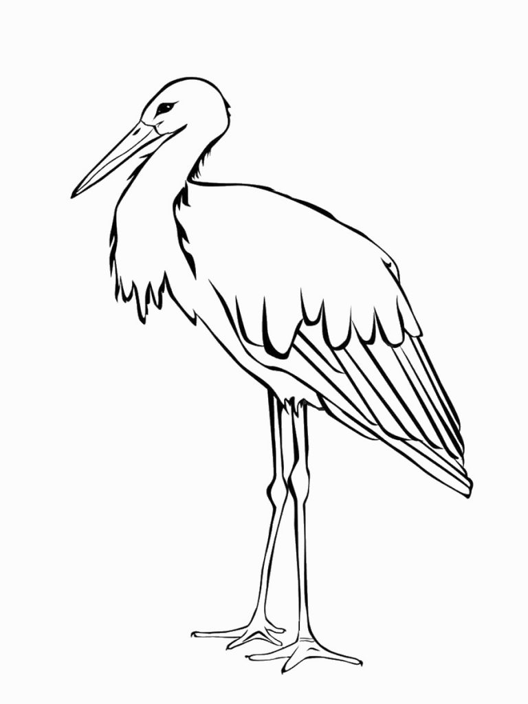 storks-coloring-7