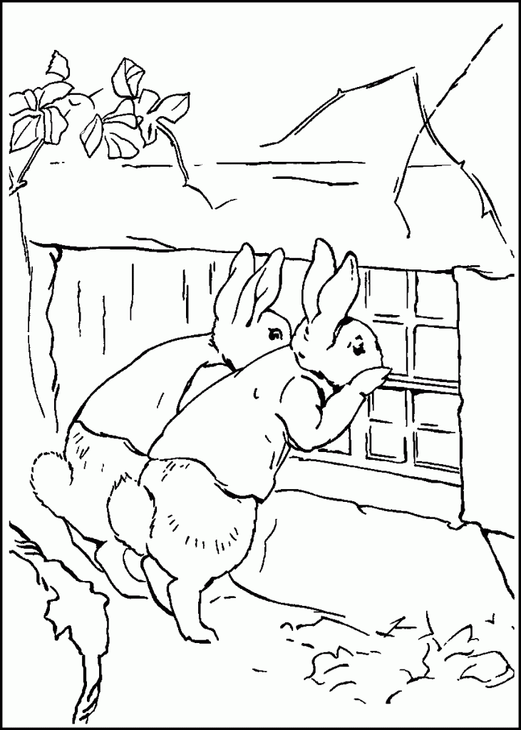 peter-rabbit-coloring21