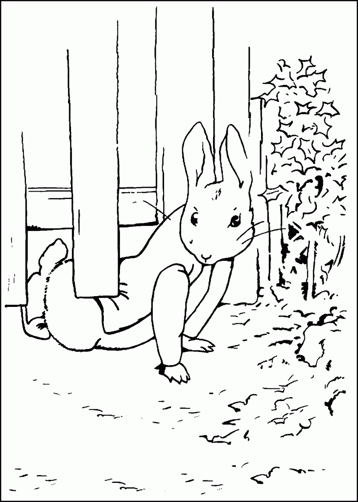 peter-rabbit-coloring3