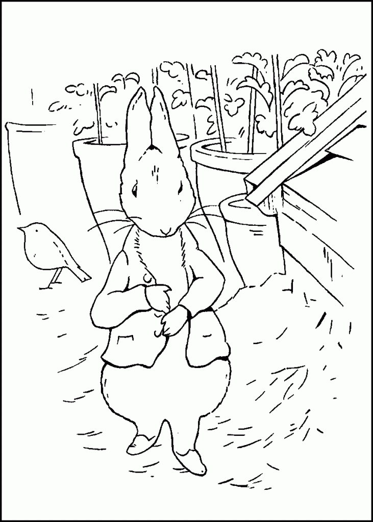 peter-rabbit-coloring5