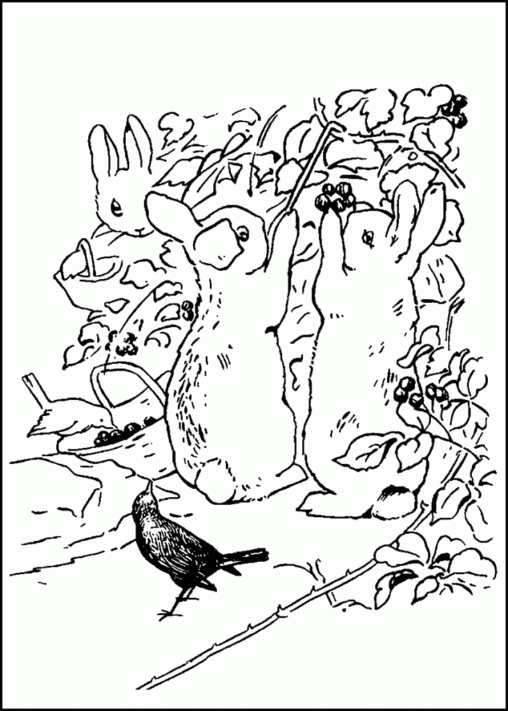 peter-rabbit-coloring9