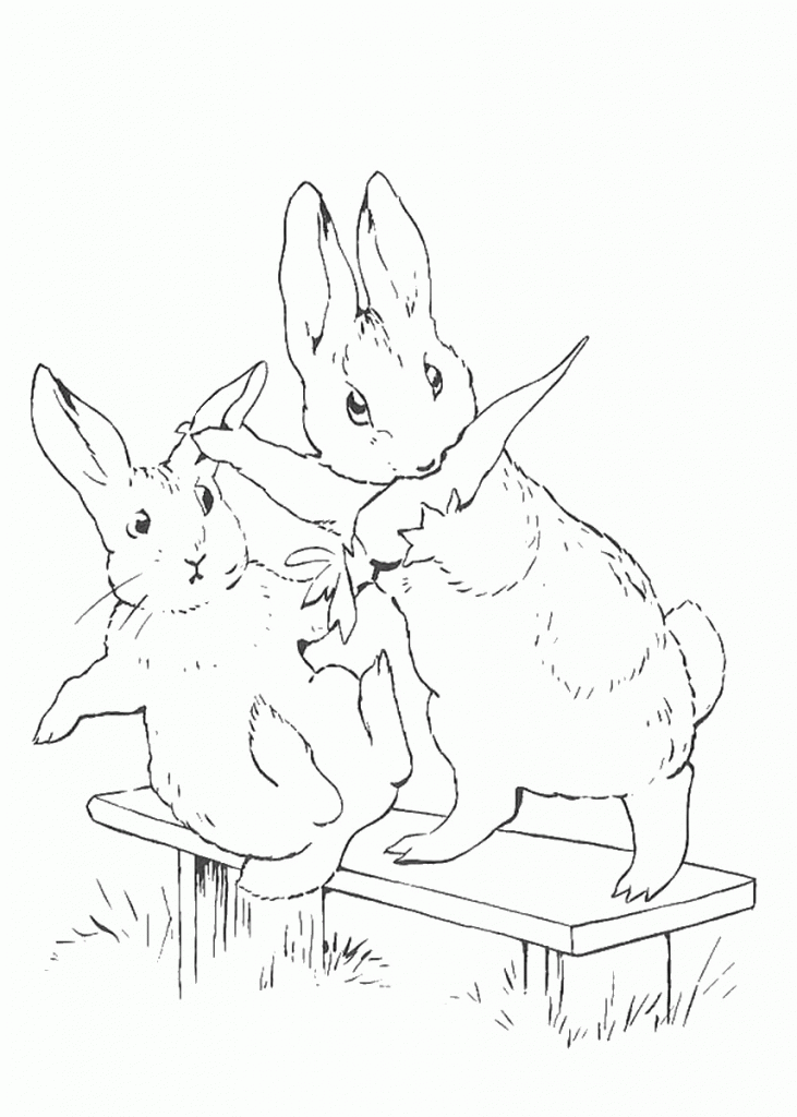 peter_rabbit23